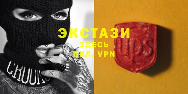 индика Новокубанск