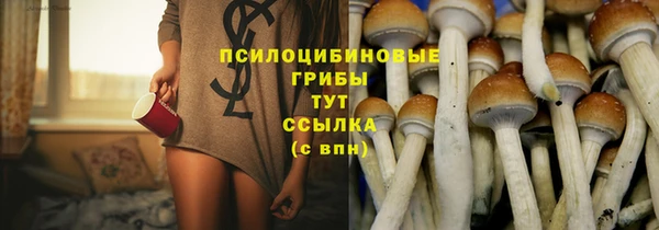 индика Новокубанск