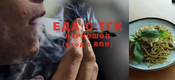 индика Новокубанск