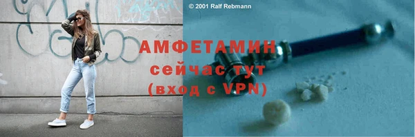 индика Новокубанск