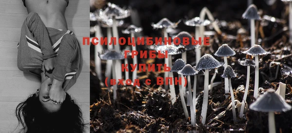 индика Новокубанск