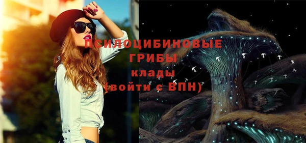 марихуана Новозыбков