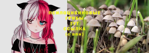 круглые Новодвинск
