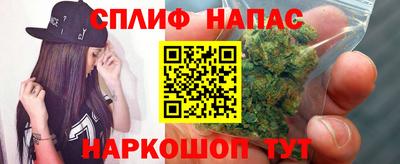 ECSTASY Заводоуковск