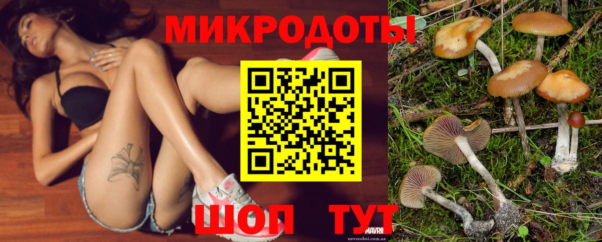 Псилоцибиновые грибы GOLDEN TEACHER Канск