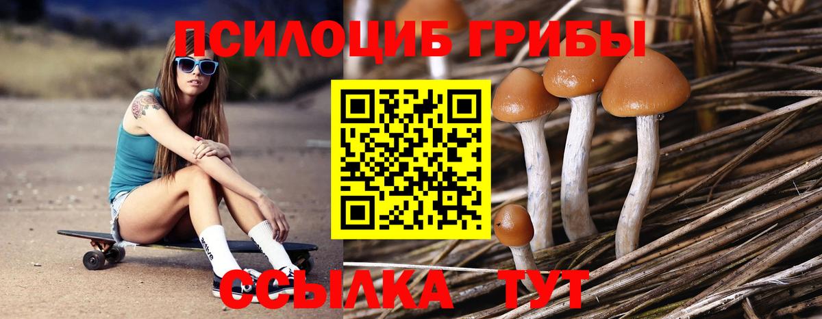 Канск  Псилоцибиновые грибы прущие грибы  Вход с VPN 