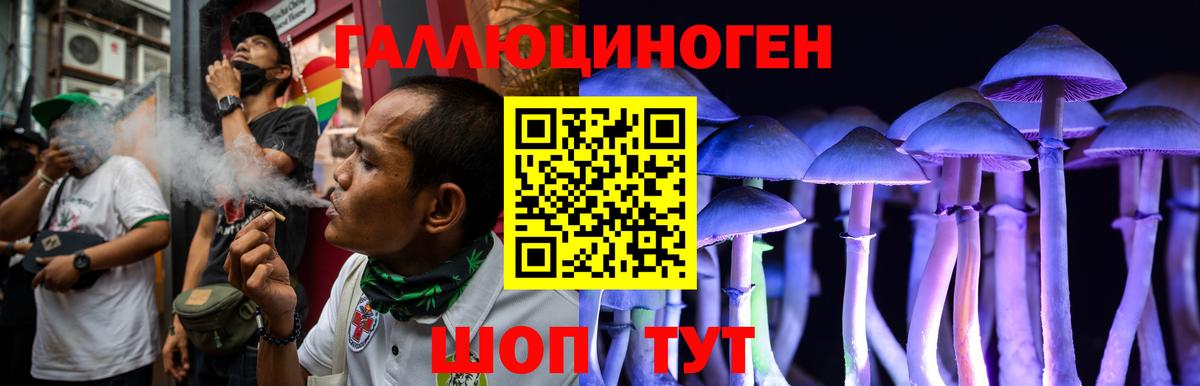 Галлюциногенные грибы Канск